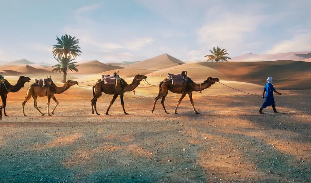 frauenreise-marokko-kameltrekking-sahara